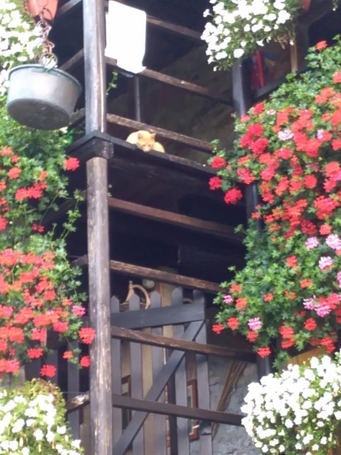 B&B "La Baita Delle Coccinelle" Varallo Εξωτερικό φωτογραφία
