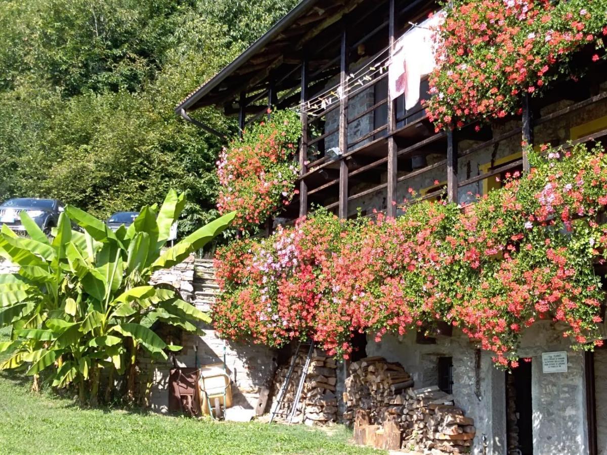 B&B "La Baita Delle Coccinelle" Varallo Εξωτερικό φωτογραφία